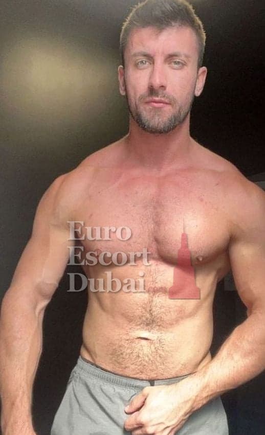 Dominic, 28, escort in Dubai — brown hair, 180 cm (photo 1 of 13)