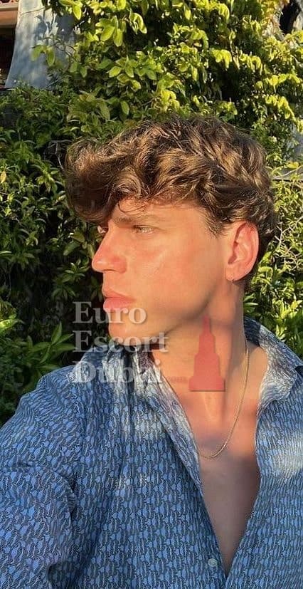 Colin, 26, escort in Dubai — 185 cm, brown hair (photo 6 of 6)