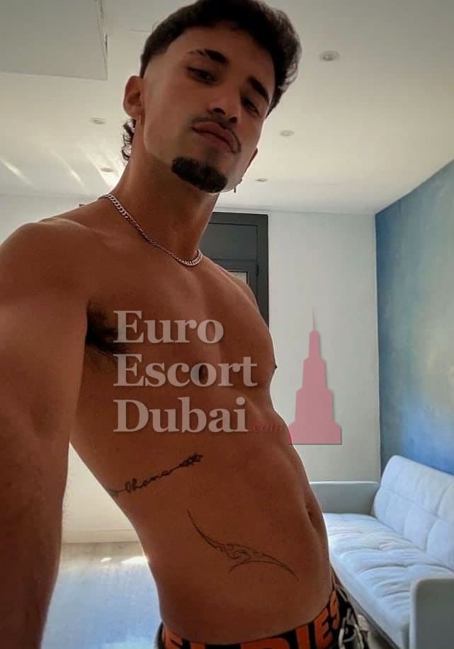 Zayn, 24, escort in Dubai — 173 cm, brown hair (photo 6 of 8)