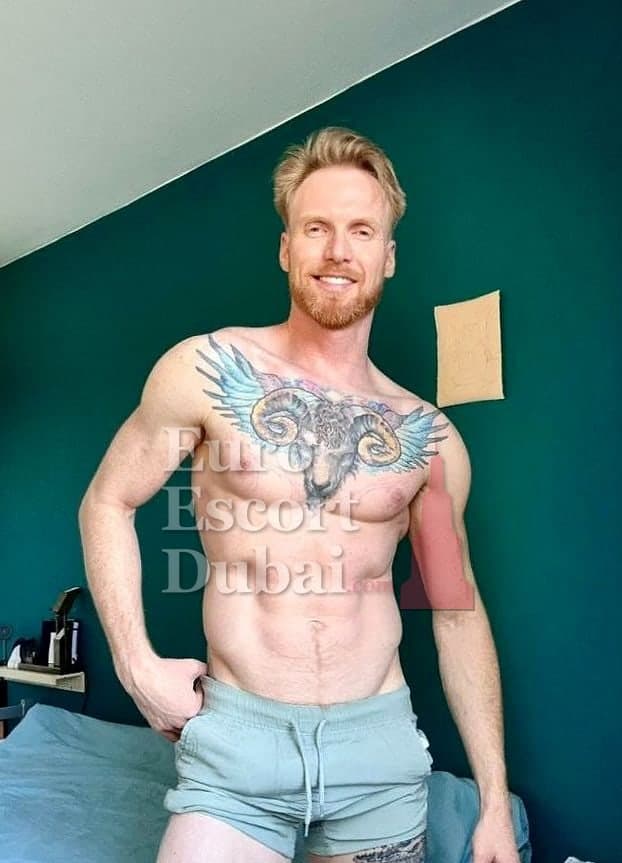 Gavin, 37, escort in Dubai — 180 cm, blonde hair (photo 2 of 13)
