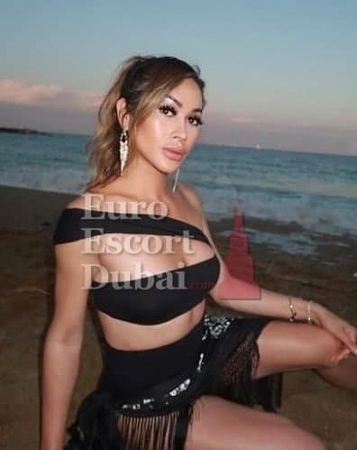 Dao, 26, escort in Ajman — 170 cm, brown hair (photo 3 of 13)