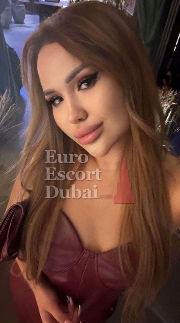 Nilufar, 22, escort in Dubai — 160 cm, brown hair (photo 6 of 13)