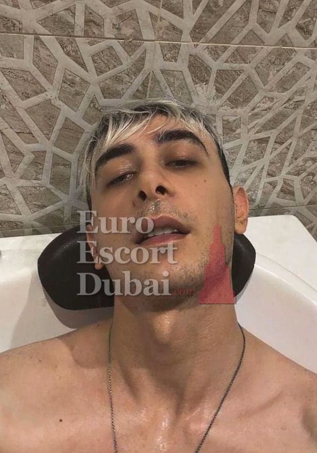 Oscar, 27, escort in Dubai — 180 cm, blonde hair (photo 4 of 8)