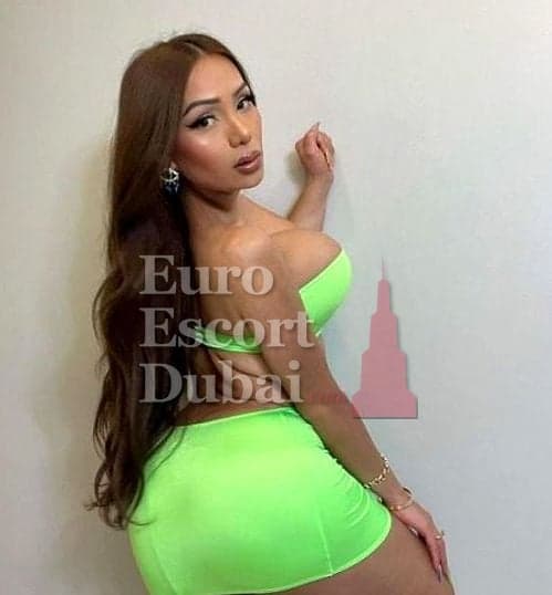 Heloisa, 25, escort in Ras Al Khaimah — Colombian, 161 cm (photo 2 of 13)