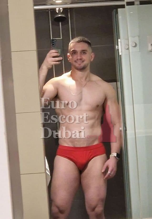 Vadim, 27, escort in Dubai — brown hair, 178 cm (photo 3 of 13)
