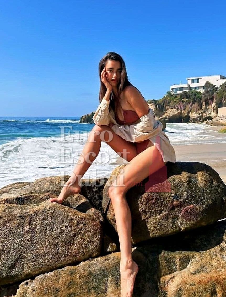 Silke, 26, escort in Dubai — brown hair, 170 cm (photo 5 of 6)