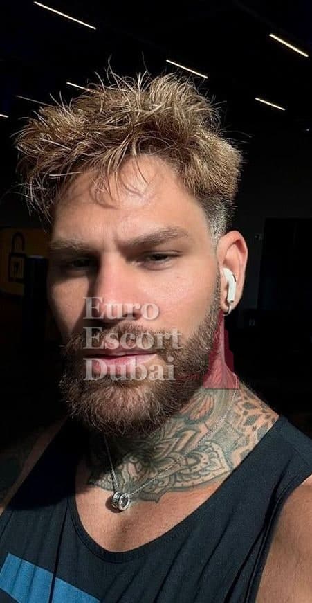 Harry, 31, escort in Dubai — 178 cm, blonde hair (photo 8 of 13)