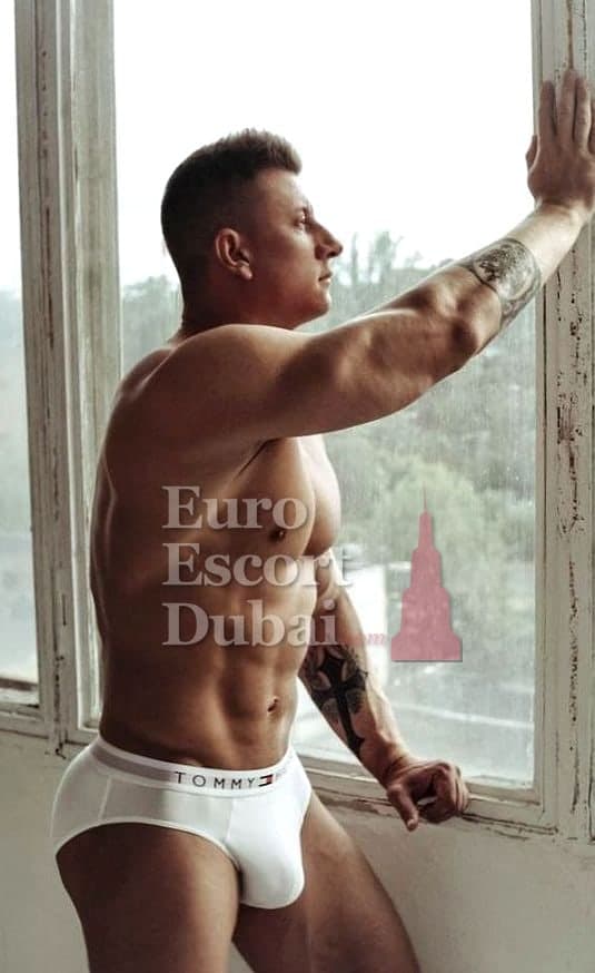 Wade, 29, escort in Dubai — brown hair, 188 cm (photo 1 of 11)