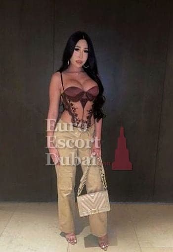 Hana, 24, escort in Dubai — black hair, Chinese (photo 10 of 13)