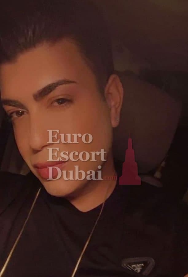 Nolan, 26, escort in Dubai — 190 cm, black hair (photo 4 of 6)