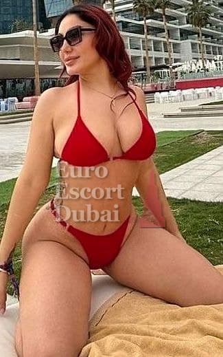 Farnaz, 31, escort in Dubai — brown hair, Iranian (photo 4 of 13)