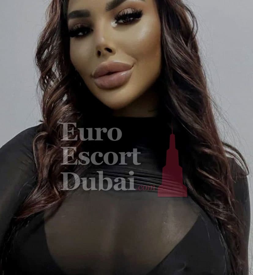 Ariana, 30, escort in Dubai — 168 cm, brown hair (photo 3 of 6)