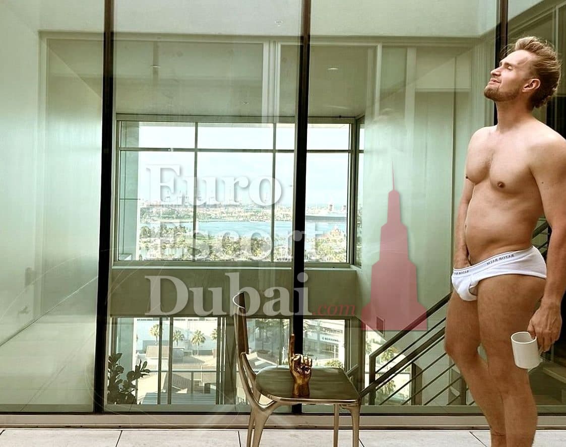 Sean, 36, escort in Dubai — 183 cm, brown hair (photo 10 of 13)