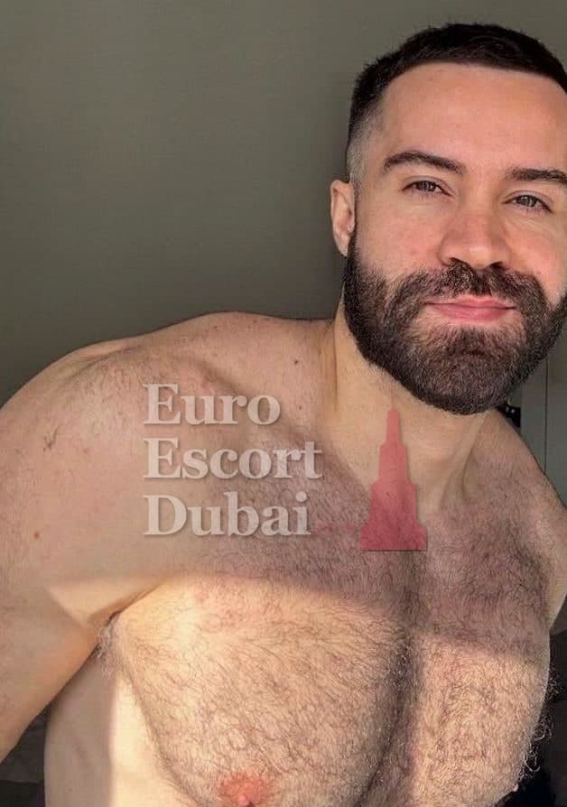 Mario, 29, escort in Dubai — 185 cm, black hair (photo 4 of 13)