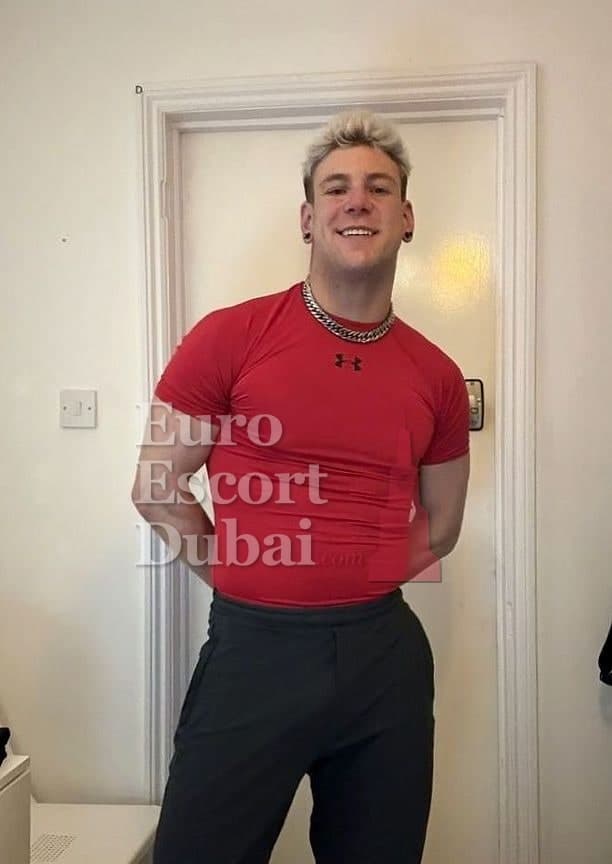 Luca, 26, escort in Dubai — blonde hair, 175 cm (photo 1 of 7)