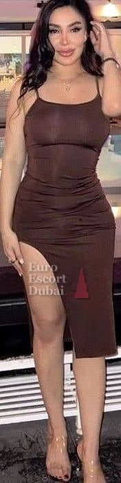 Farnaz, 31, escort in Dubai — brown hair, Iranian (photo 7 of 13)