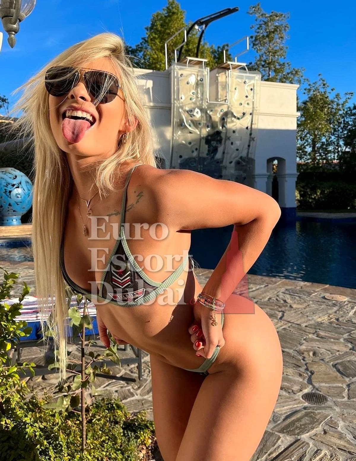 Gabrielle, 23, escort in Dubai — Finnish, 173 cm (photo 2 of 5)