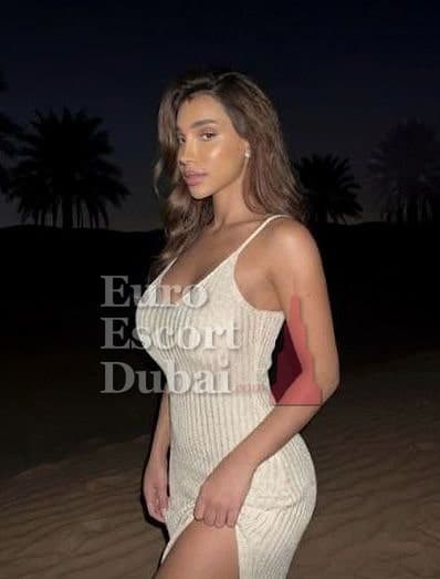Karen, 25, escort in Dubai — brown hair, Colombian (photo 4 of 13)