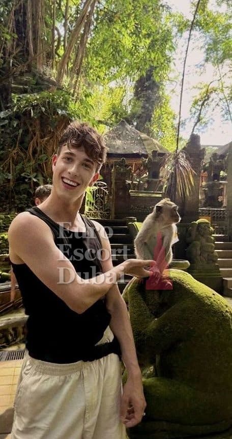 Leo, 23, escort in Dubai — brown hair, 180 cm (photo 11 of 13)