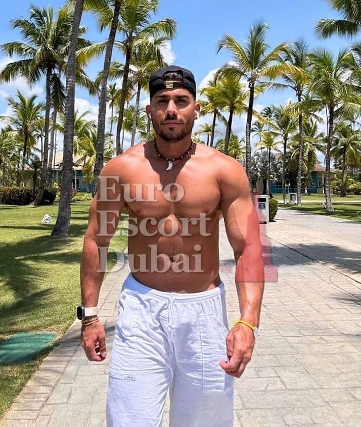 Emre, 29, escort in Dubai — 178 cm, brown hair (photo 4 of 12)