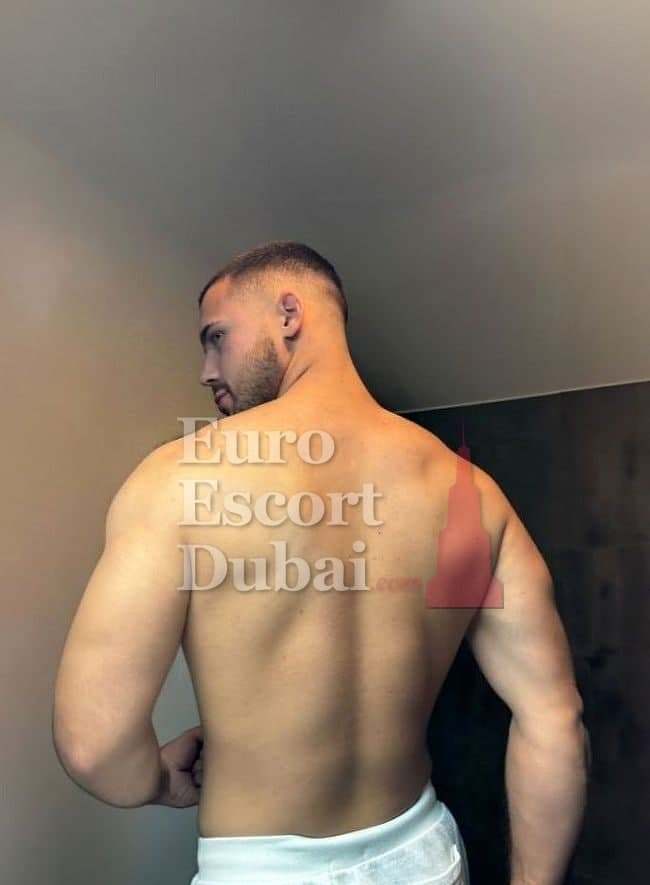 Ryan, 24, escort in Dubai — brown hair, 195 cm (photo 9 of 13)