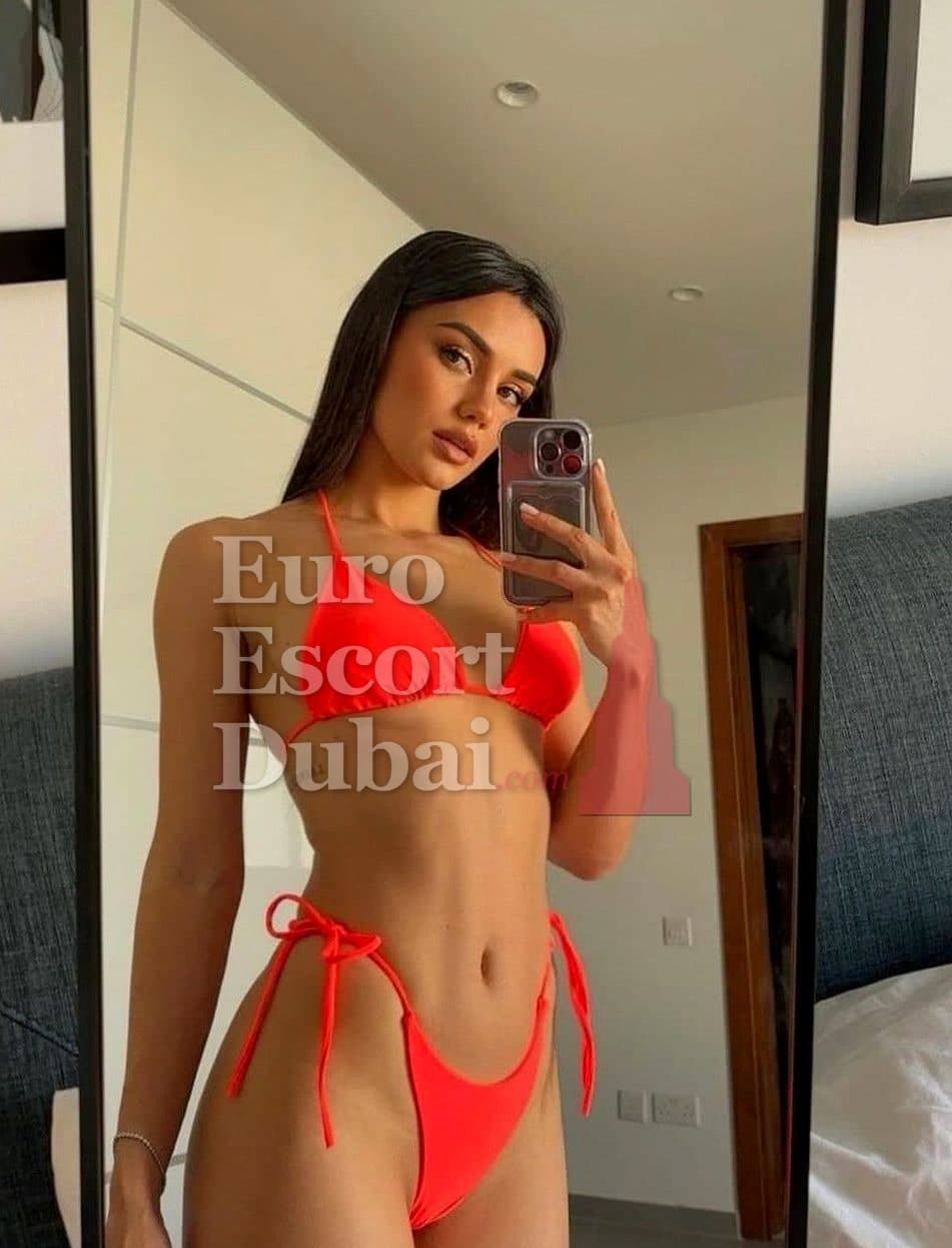 Eliza, 21, escort in Dubai — brown hair, French (photo 7 of 7)