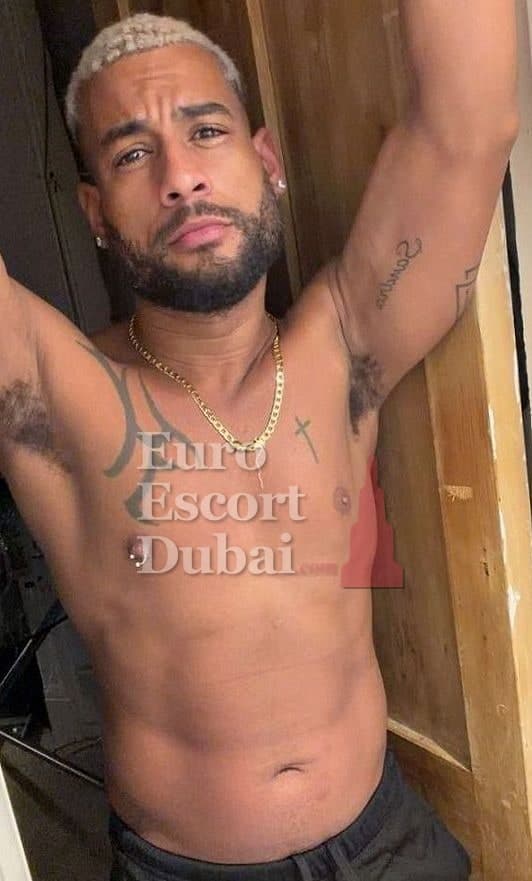Miguel, 28, escort in Abu Dhabi — 180 cm, blonde hair (photo 2 of 10)