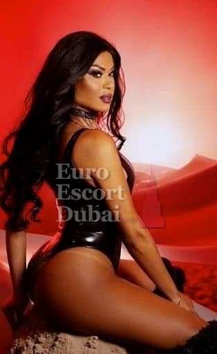 Bruna, 28, escort in Dubai — 176 cm, brown hair (photo 9 of 13)