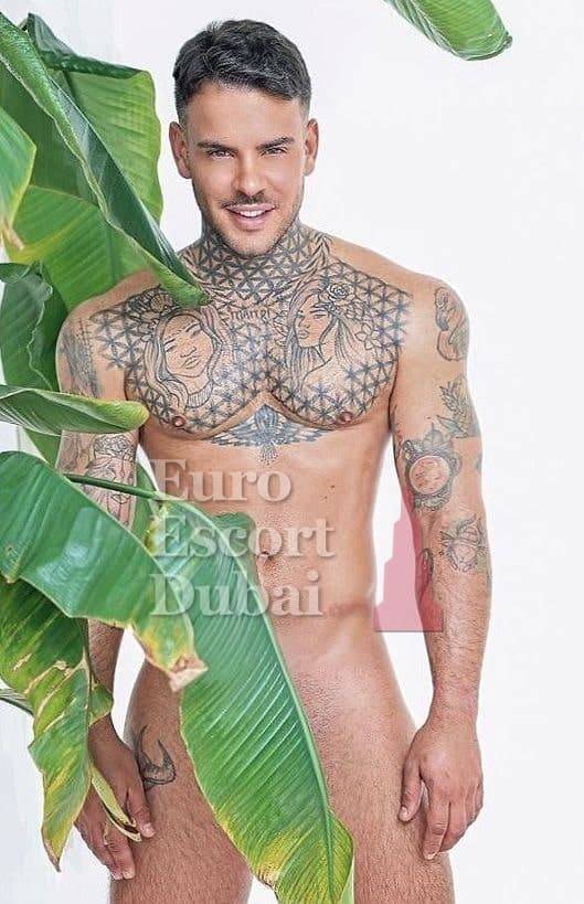 Cole, 31, escort in Dubai — brown hair, 175 cm (photo 7 of 8)