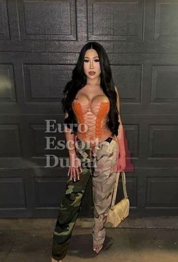 Hana, 24, escort in Dubai — black hair, Chinese (photo 4 of 13)