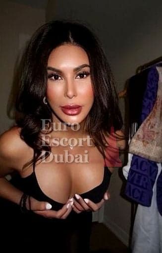 Sofia, 26, escort in Dubai — black hair, Brazilian (photo 1 of 13)