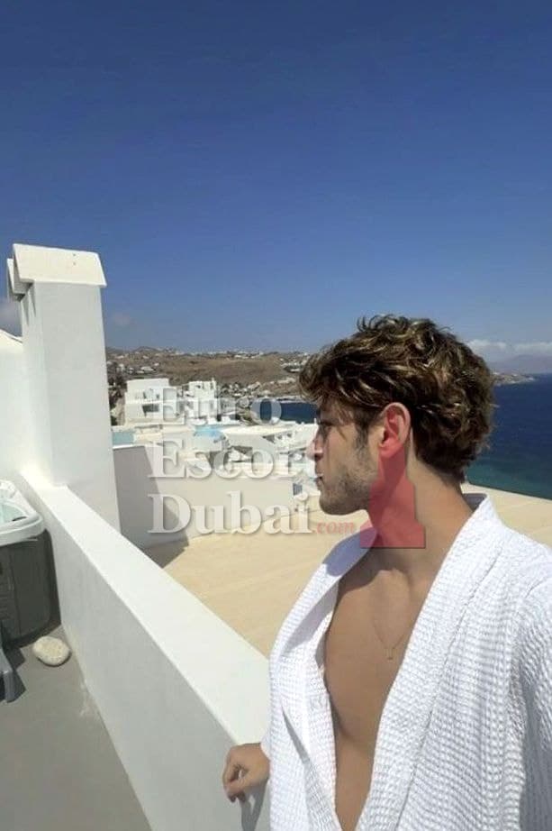 Rashid, 24, escort in Dubai — 180 cm, brown hair (photo 2 of 7)