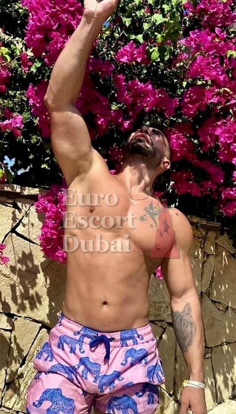 Damian, 30, escort in Dubai — black hair, 175 cm (photo 3 of 13)