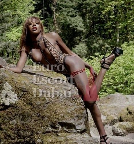 Carmela, 21, escort in Dubai — 174 cm, black hair (photo 3 of 10)