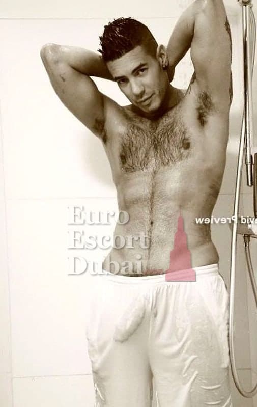 Gabriel, 38, escort in Dubai — 183 cm, brown hair (photo 8 of 13)