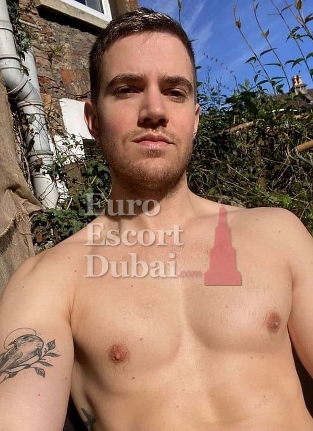 Tyler, 32, escort in Abu Dhabi — 183 cm, blonde hair (photo 4 of 13)