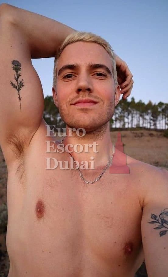 Tyler, 32, escort in Abu Dhabi — 183 cm, blonde hair (photo 12 of 13)