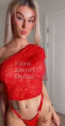 Zarina, 26, escort in Abu Dhabi — blonde hair, Russian (photo 4 of 13)