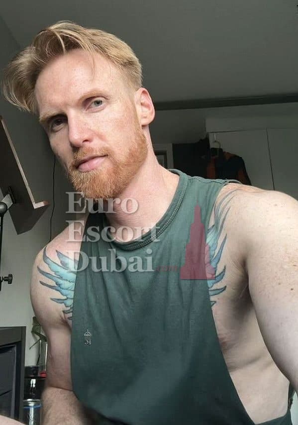 Gavin, 37, escort in Dubai — blonde hair, 180 cm (photo 3 of 13)