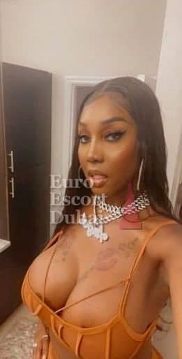 Micaela, 26, escort in Abu Dhabi — Brazilian, 180 cm (photo 2 of 13)