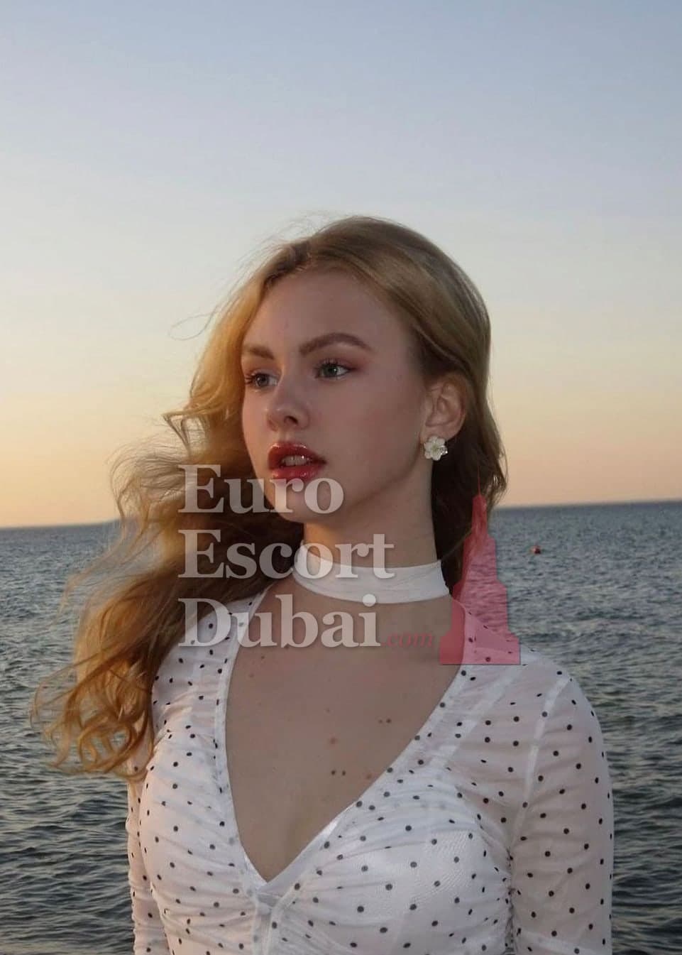 Nadine, 27, escort in Dubai — blonde hair, 175 cm (photo 3 of 6)