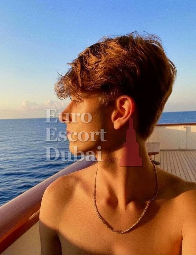 Leo, 23, escort in Dubai — 180 cm, brown hair (photo 8 of 13)