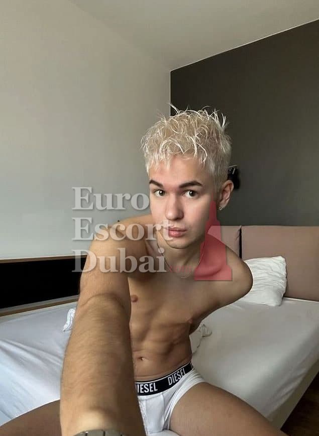 Tristan, 19, escort in Dubai — 175 cm, blonde hair (photo 8 of 13)