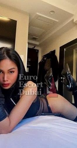 Xinyi, 29, escort in Dubai — 167 cm, black hair (photo 9 of 13)