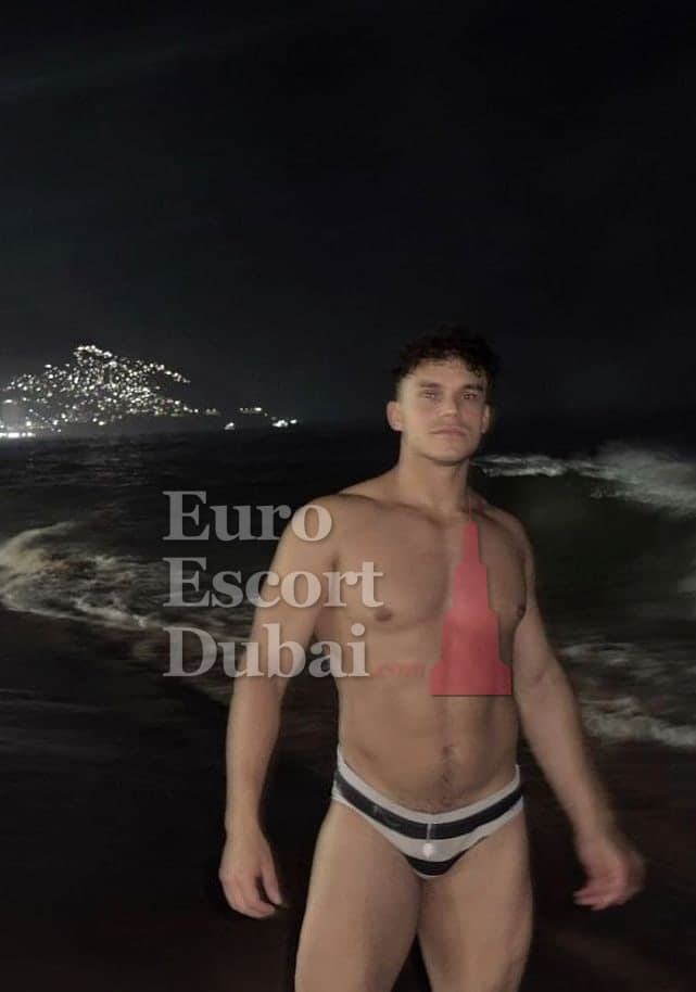 Fares, 27, escort in Dubai — 183 cm, black hair (photo 2 of 13)