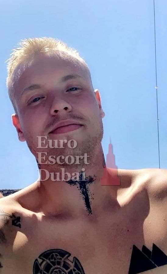 Alan, 29, escort in Dubai — 190 cm, blonde hair (photo 4 of 10)
