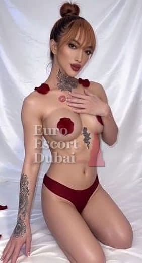 Yu, 27, escort in Dubai — Chinese, 167 cm (photo 1 of 13)
