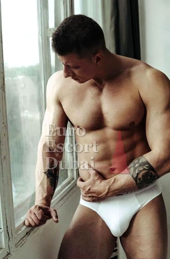 Wade, 29, escort in Dubai — brown hair, 188 cm (photo 5 of 11)