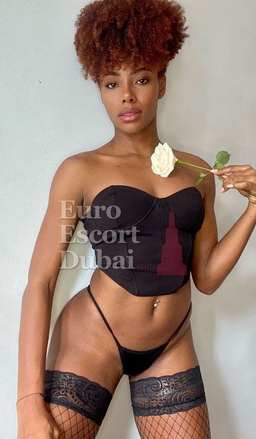 Jamila, 30, escort in Dubai — brown hair, Danish (photo 4 of 6)
