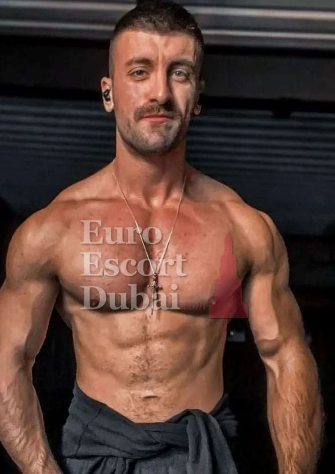 Dominic, 28, escort in Dubai — 180 cm, brown hair (photo 12 of 13)